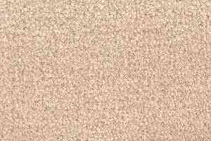 Ковролин Radici Admiral Warm Beige 2230 фото  | FLOORDEALER